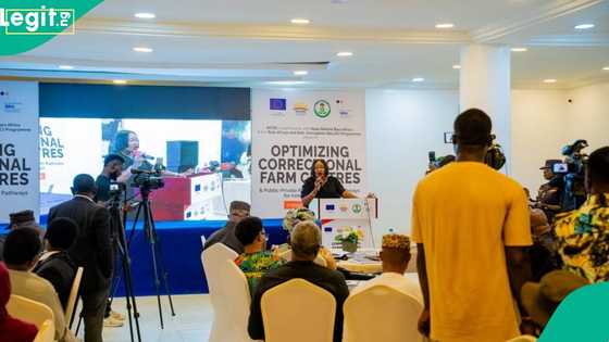 “From cells to farms”: Stakeholders move to turn Nigerian prisons into food hubs