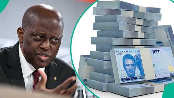 Make the naira portable again: Experts urge CBN to introduce N10,000 and N20,000 notes