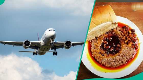 US airline announces plans to give passengers Nigerian foods on Lagos-Atlanta flight