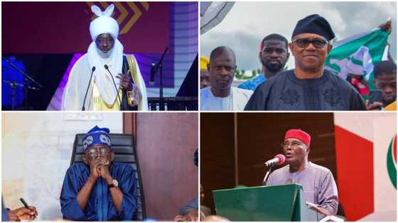 2023 presidency: Former Kano emir Sanusi reveals who Nigerians should not vote for, gives reason
