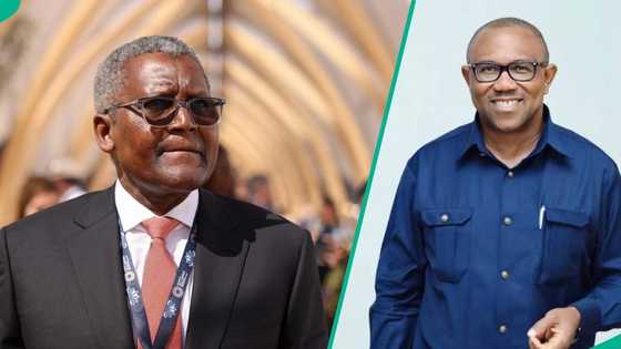 Dangote Group speaks out on viral Aliko Dangote fake statement about Peter Obi