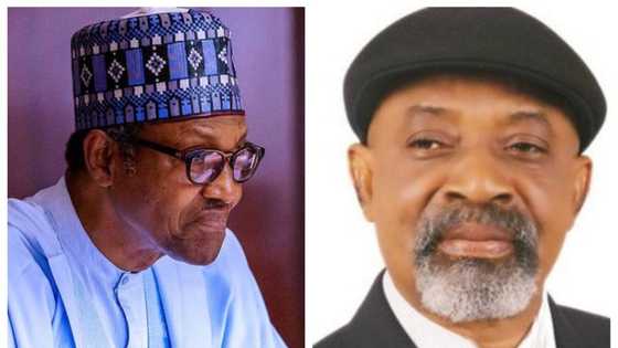 Yadda ‘Yanuwa na jinin wani Ministan Buhari 1 su ka tashi da kujeru rututu a Gwamnatin APC