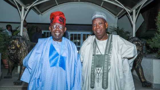 Wallahi Ko a 2019, Abba Gida Gida Ya Ci Zaben Gwamnan Kano - 'Yar APC Ta Fasa Kwai