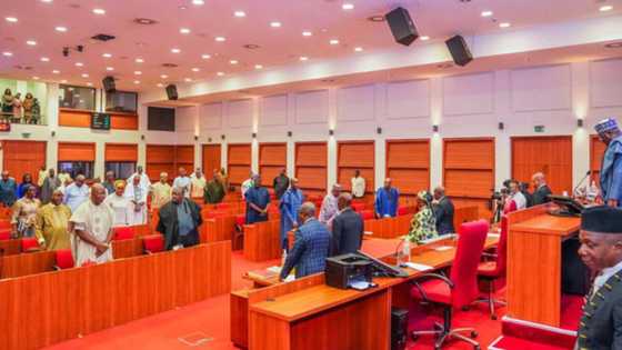 Majalisa ga DSS, 'Yan Sanda: Dole ne a Damko Maharan Tawagar Sanata Ubah