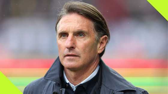 Super Eagles: Bruno Labbadia loses another job after walking out on Nigeria's offer