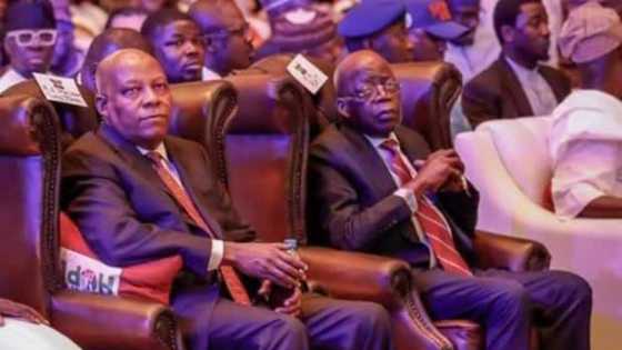 2023 election: Dele Momodu slams Tinubu, Shettima over disrespectful comment about Atiku