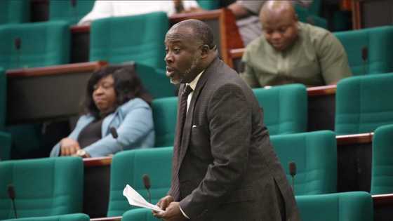 Court verdict: House of Reps member berates Umahi over 'anti-democratic' comments