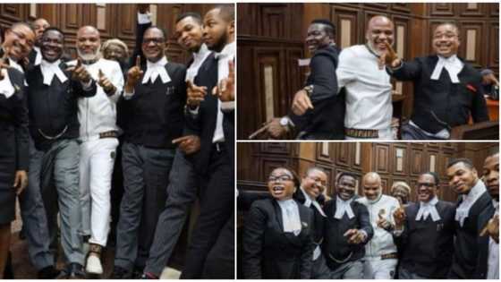 Rare photos reveal Nnamdi Kanu, lawyers dancing in court after favourable verdict, APC chieftain reacts