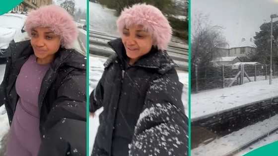Lady working at agency in UK refuses to cancel her shift despite snow fall, shares salary