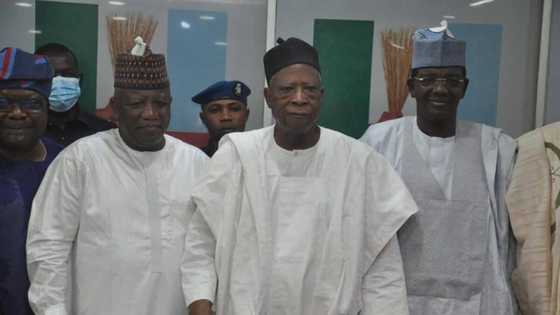 Jubilation in Zamfara APC as party national chairman makes boss-like moves, reconciles warring members