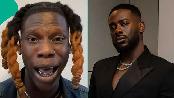 "Na your mate?" Reactions as Seyi Vibez rains insults on Adekunle Gold in unexpected outburst