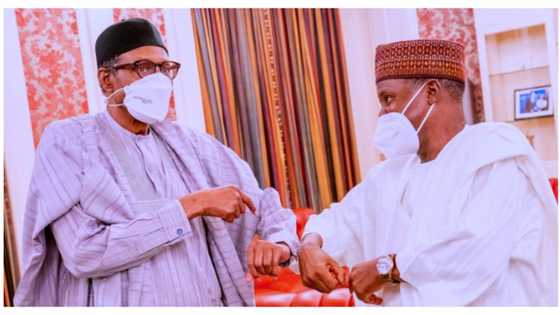 Top Northern APC chieftain tells Buhari next minister to be sacked