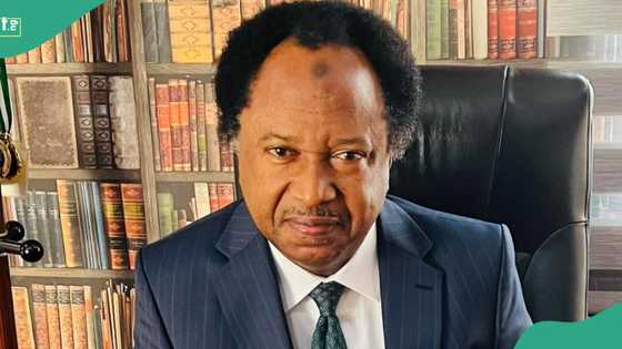 Abuja Kidnapping: Major reasons for increasing crime rate in FCT, Shehu Sani speaks
