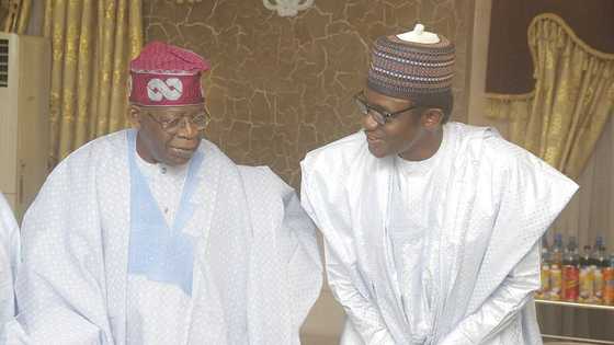 Supreme Court judgment forces APC to take drastic decisions on party's leadership