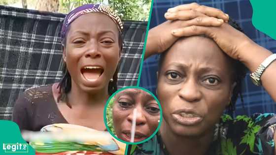 Cherubim and Seraphim Church protests, demands safe return of abducted Oyo school children, video trends