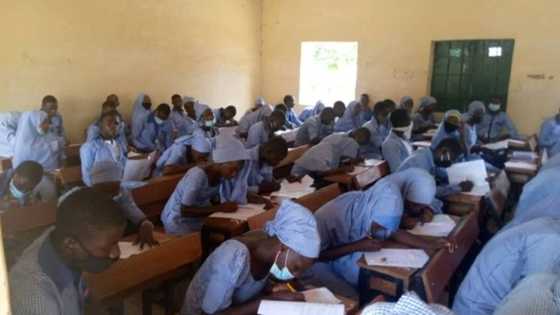 A karon farko an rubuta jarrabawar WAEC a garin Chibok shekaru 6 bayan sace dalibai mata da Boko Haram suka yi a garin