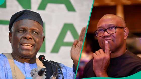 2027 election: What'll happen if Peter Obi dumps coalition, returns to PDP? Jerry Gana speaks
