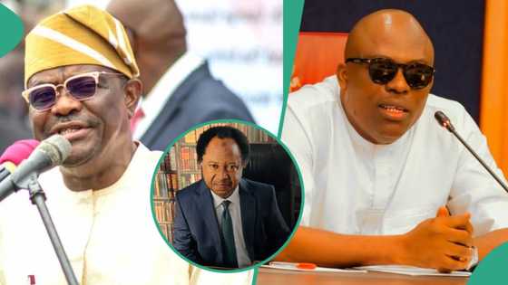 “President's peace has crumbled”: Shehu Sani lists 3 groups who can resolve Wike/Fubara Feud