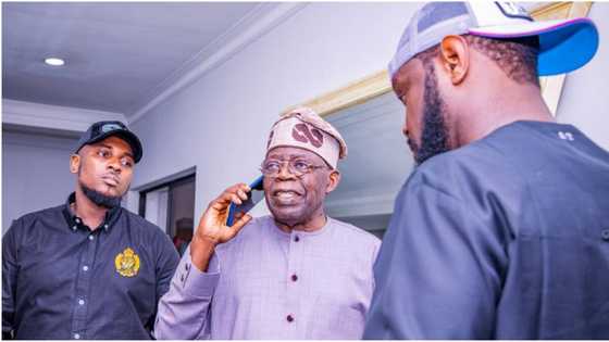 Fuel price hike: "My father won’t fail", Seyi Tinubu assures Nigerians amid hardship