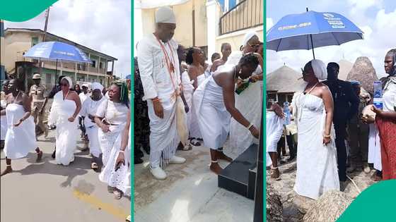 Video: Ogun traditionalists take spiritual action over abducted Oyo pupils, teachers
