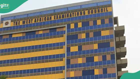WAEC announces fresh recruitment in Nigeria, mentions how to apply