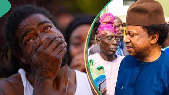 AFCON: Shehu Sani ya bai wa mata hanyoyin kare mazajensu daga mutuwa yayin kallon kwallo