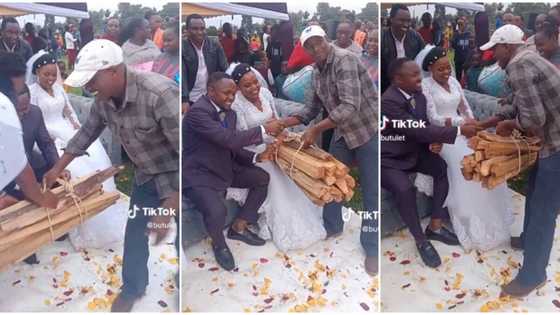 "I will not collect it": Man gives couple firewood as a wedding gift, snaps pictures with it, video goes viral