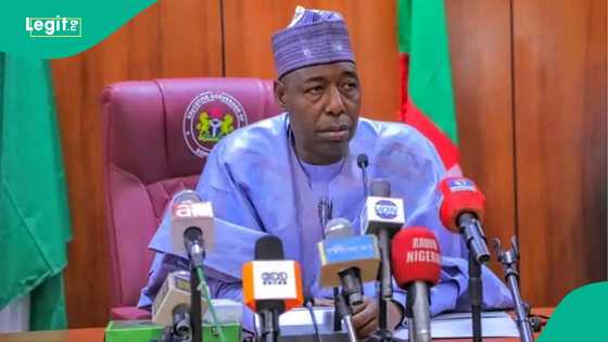 "Ba 13 ba ne:" Gwamnatin Borno ta fadi adadin tubabbun yan Boko Haram da su ka gudu