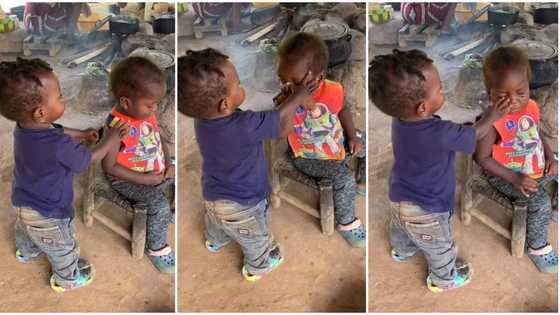 "Stop crying": Baby cleans the tears of a fellow child who is weeping, viral video melts hearts on TikTok