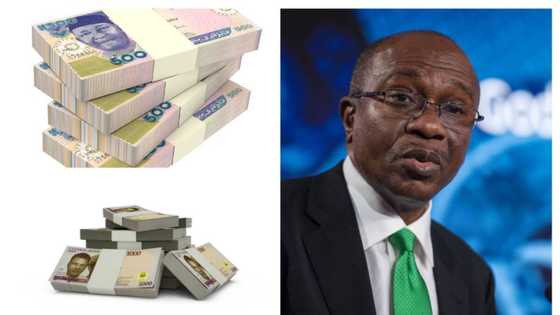 CBN Spent N281 billion printing new notes as latest banknotes begin circulating December 15