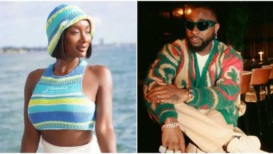Davido's Anita Brown finally tenders apology says she will stop dragging her alleged baby daddy: "I have said it all"