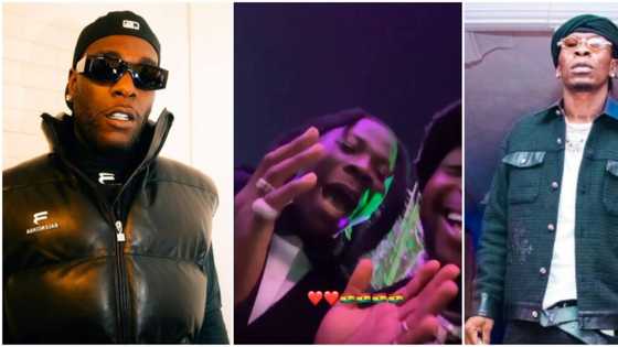 Shortly after Burna Boy challenged Shatta Wale to physical fight, Stonebwoy apologises to Nigerians