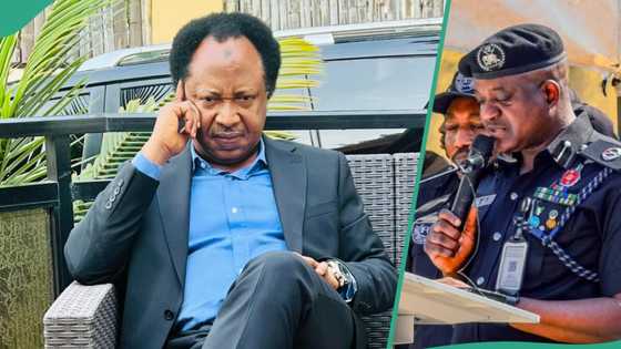 Kidnappings: Shehu Sani identifies cause of insecurity in Abuja