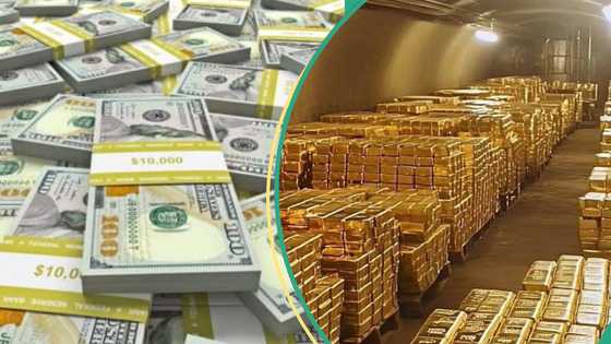 List of African countries with highest foreign exchange and gold reserves
