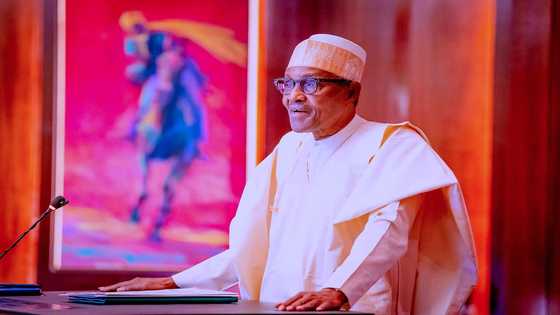 Prominent lawmaker gives fresh update on plan to impeach President Buhari
