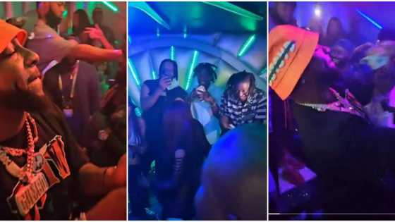 "Money na water": Video of Davido using dollars to stone Shallipopi and Dan Dizzy at club goes viral