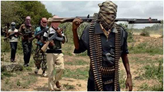 Breaking: Again, terrorists launch fresh attack on Katsina border town, kill DPO