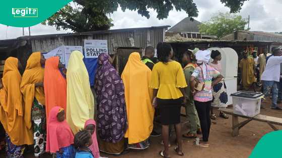 Breaking: NNPP defeats APC in keenly contested Kano by-election