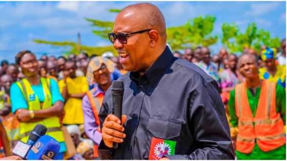 2023: Mammoth crowd as 'Obidients' receive Peter Obi in Port Harcourt