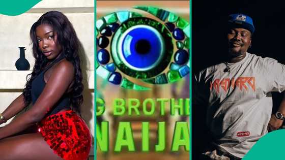 BBNaija 2025: Hilarious reactions of housemates go viral as ninjas drop live worms on their bodies
