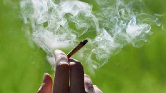 Kotu ta yanke ma wata budurwa hukuncin bulala 80 saboda shan wiwi a Kaduna