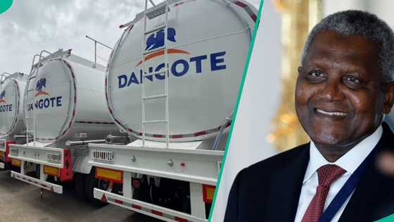 PETROAN raises alarm over Dangote refinery’s fuel distribution plans, lists negative impact