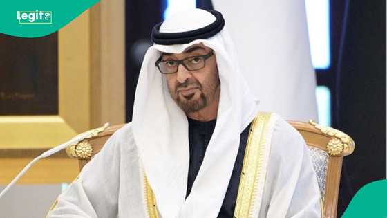 UAE announces 7 conditions foreigners must meet before Entering the country in 2026