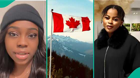 Canada employment: 3 Nigerians who searched for work abroad share job-hunting experience