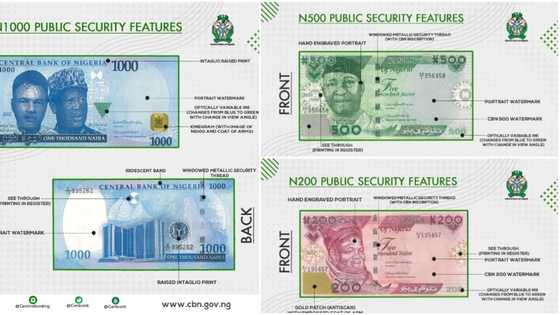 FG releases Public Security Features of the New N200, N500 and N1,000 Notes