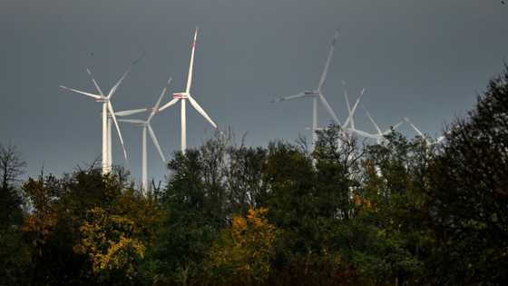 'Dark lull' in German energy transition sparks political debate