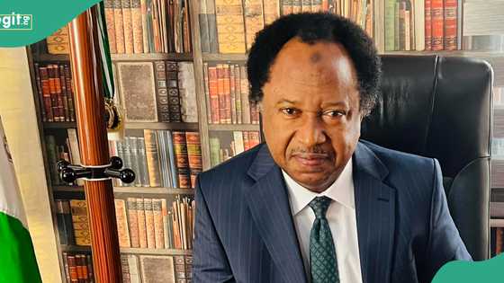 Ana batun kudirin haraji, Shehu Sani ya ba shugabannin Arewa shawara