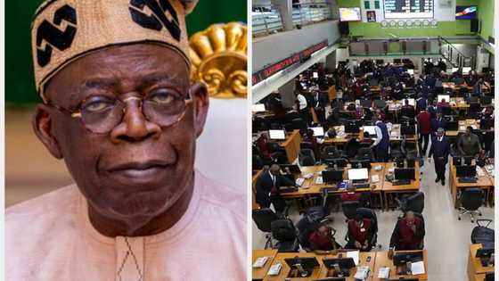 Nigerian stock investors get richer since Tinubu’s presidency as 11 companies record over 100% returns