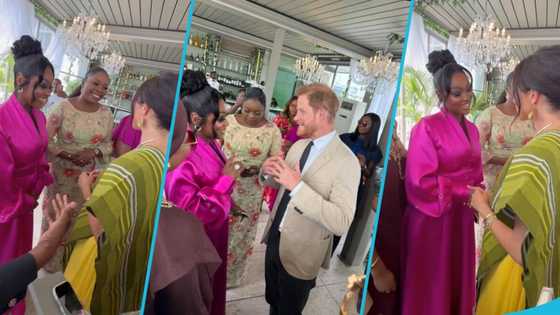 Prince Harry and Meghan Markle: Jackie Appiah talks about meeting the British couple in Lagos, Video