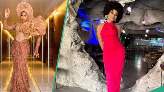 "Have u returned the wig?" BBNaija Phyna sues hair vendor, writes petition to the police, fans react